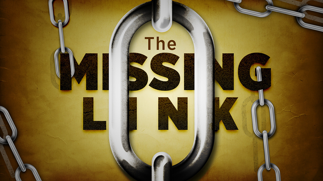 The Missing Link